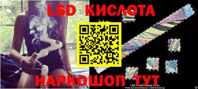 крисы Кунгур