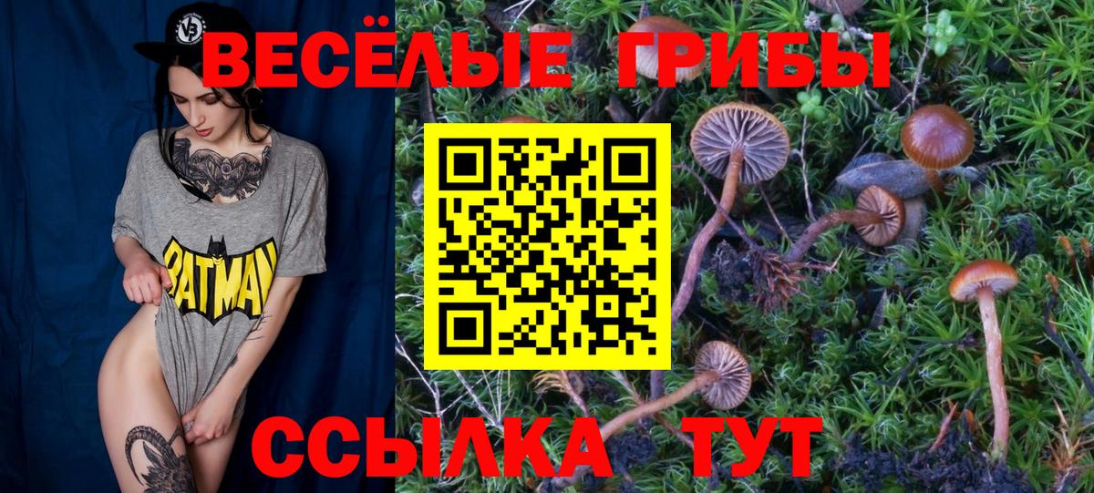 Псилоцибиновые грибы Magic Shrooms  Вход с VPN  Ивантеевка 
